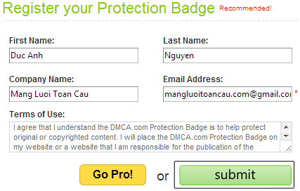Điền thông tin vào mẫu đăng ký DMCA