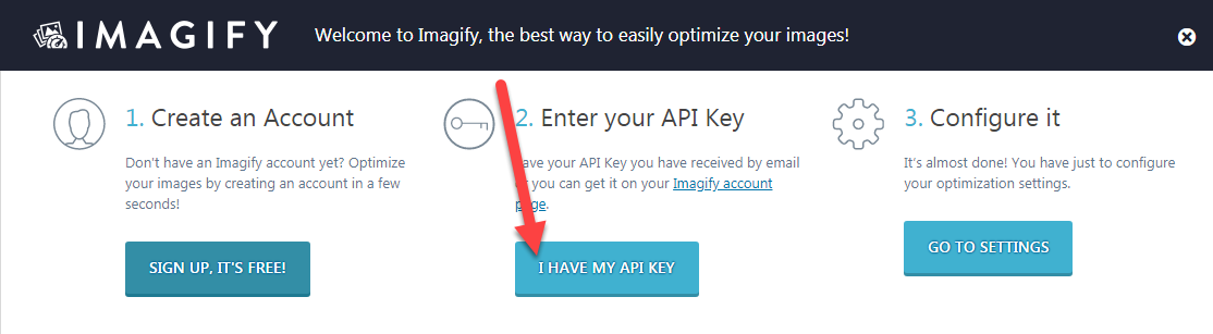nhập mã API key