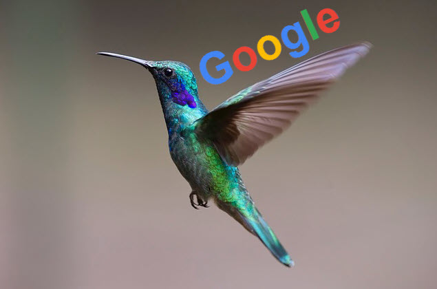 google hummingbird là gì
