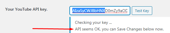 API key hoạt động