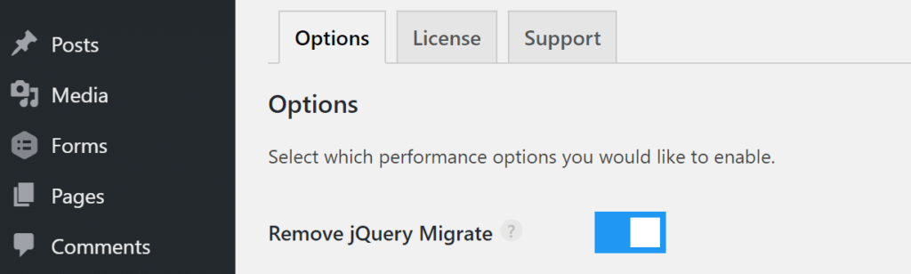 Loại bỏ jQuery migrate thông qua perfmatters plugin