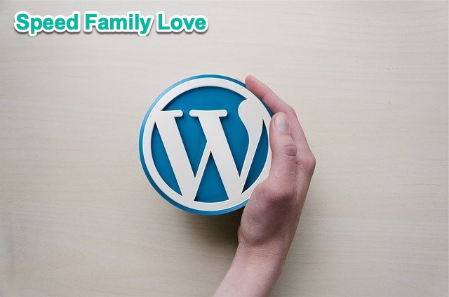 Tổng hợp các dịch vụ WordPress yêu thích của Kiến càng (theme, plugin, hosting, CDN, v.v…). Liên tục cập nhật