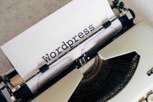 Giảm tải cho host yếu sử dụng WordPress thông qua CDN miễn phí