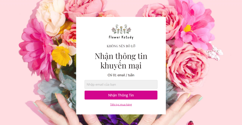 Trang Squeeze page được Việt hóa