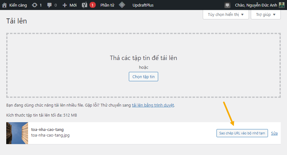 Copy URL của ảnh