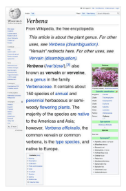 Tìm kiếm loài thực vật có tên verbena